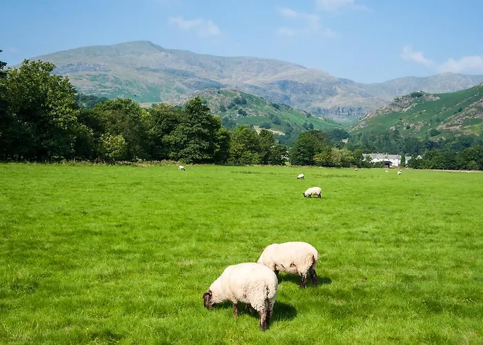 فندق The Yewdale And Village